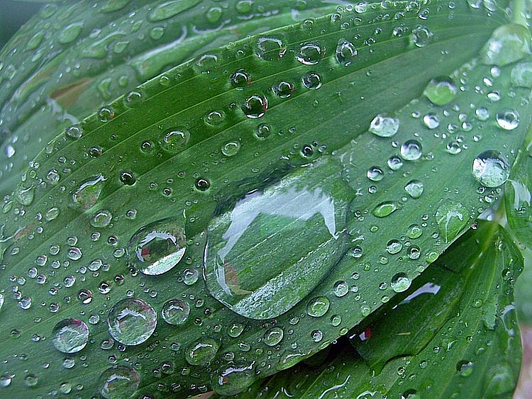 Foto unterm Regenschirm