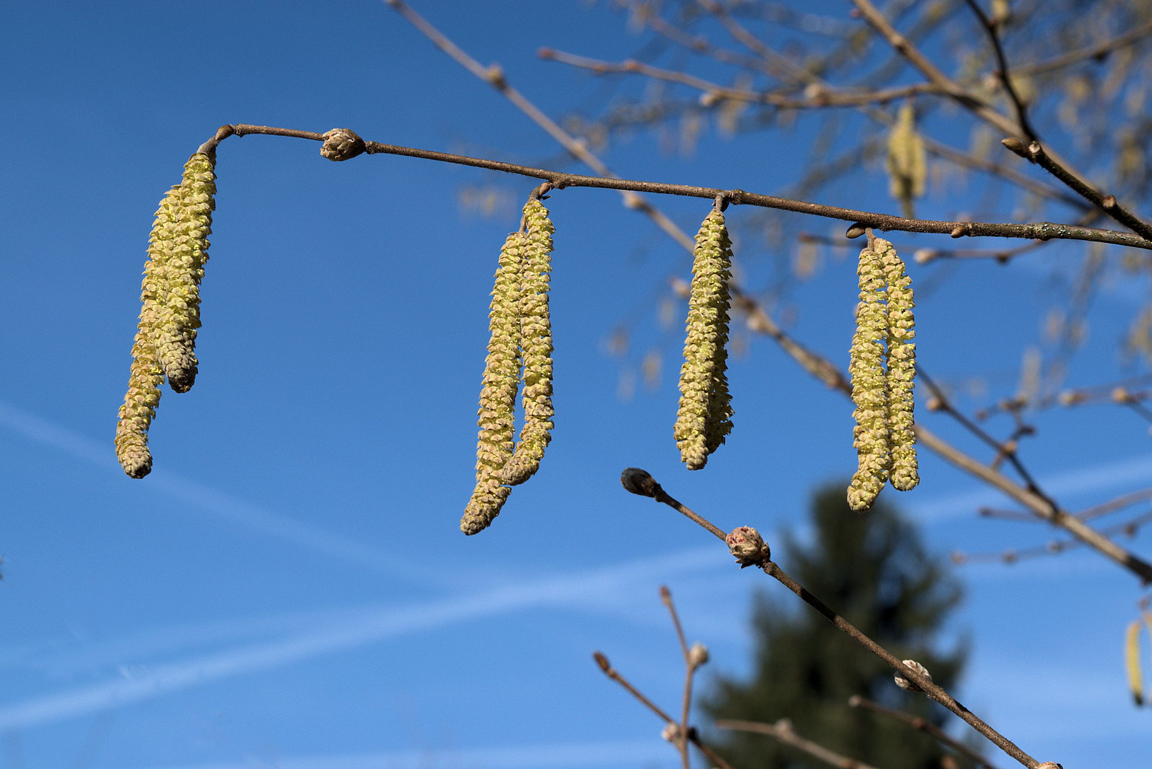 Foto vom Spaziergang von heute..