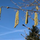 Foto vom Spaziergang von heute..