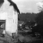 FOTO von 1906 aus der Umgebung von Antweiler 
