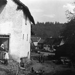 FOTO von 1906 aus der Umgebung von Antweiler 