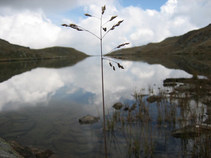 Foto von Frau Knopf