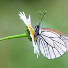 »Foto-Wochenende Natur« vom 28.06.24, 15:00 Uhr bis 30.06.24, 15:00 Uhr, 399,00€.