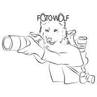 Foto-Wolf