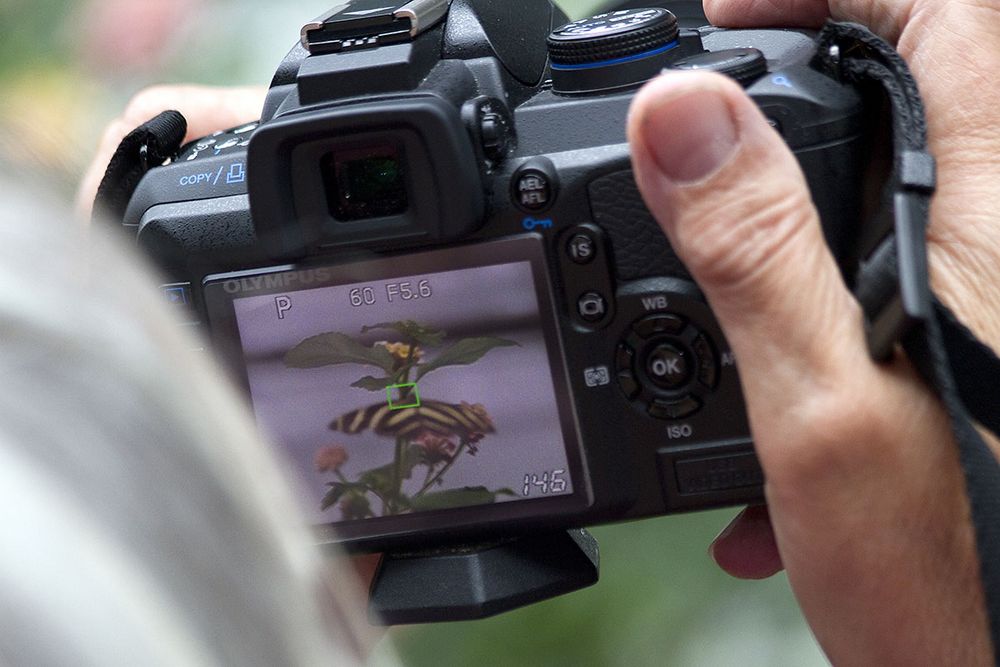 Foto-Workshop Makro-Fotografie