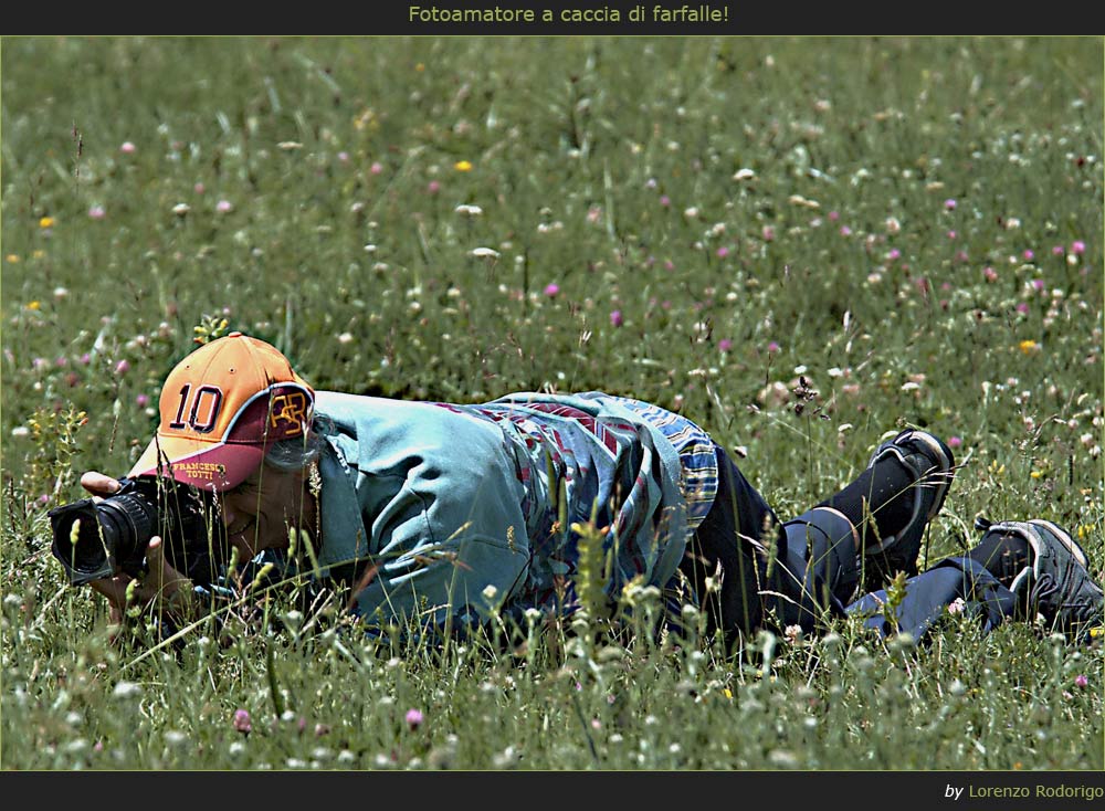 Fotoamatore a caccia... di farfalle