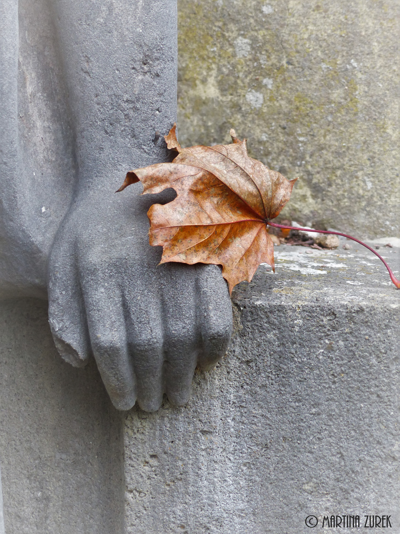 Fotoaufgabe "Herbstblatt"