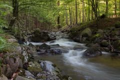 Fotoausflug an der Ilse - Ilsenburg (Harz) 01