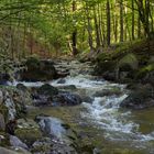 Fotoausflug an der Ilse - Ilsenburg (Harz) 02