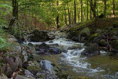 Fotoausflug an der Ilse - Ilsenburg (Harz) 02