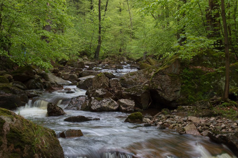 Fotoausflug an der Ilse - Ilsenburg (Harz) 04