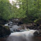 Fotoausflug an der Ilse - Ilsenburg (Harz) 05