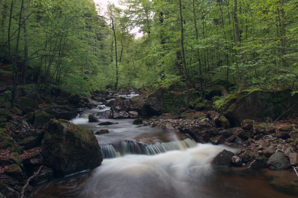 Fotoausflug an der Ilse - Ilsenburg (Harz) 05