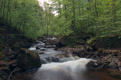 Fotoausflug an der Ilse - Ilsenburg (Harz) 05