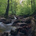 Fotoausflug an der Ilse - Ilsenburg (Harz) 06