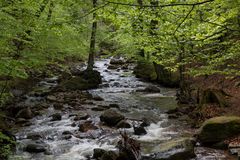 Fotoausflug an der Ilse - Ilsenburg (Harz) 07