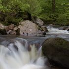 Fotoausflug an der Ilse - Ilsenburg (Harz) 08