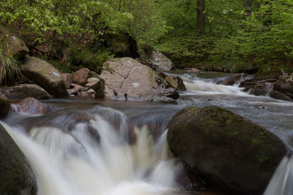 Fotoausflug an der Ilse - Ilsenburg (Harz) 08