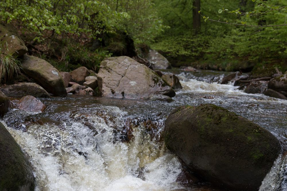 Fotoausflug an der Ilse - Ilsenburg (Harz) 09