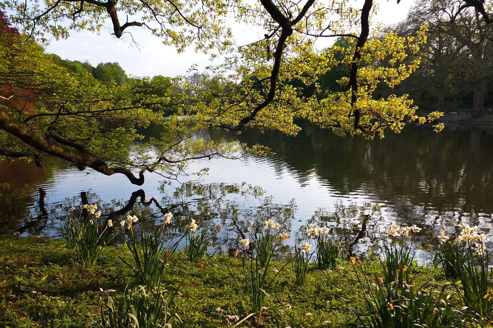 Fotoausflug zum Rombergpark / Dortmund 3