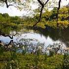 Fotoausflug zum Rombergpark / Dortmund 3