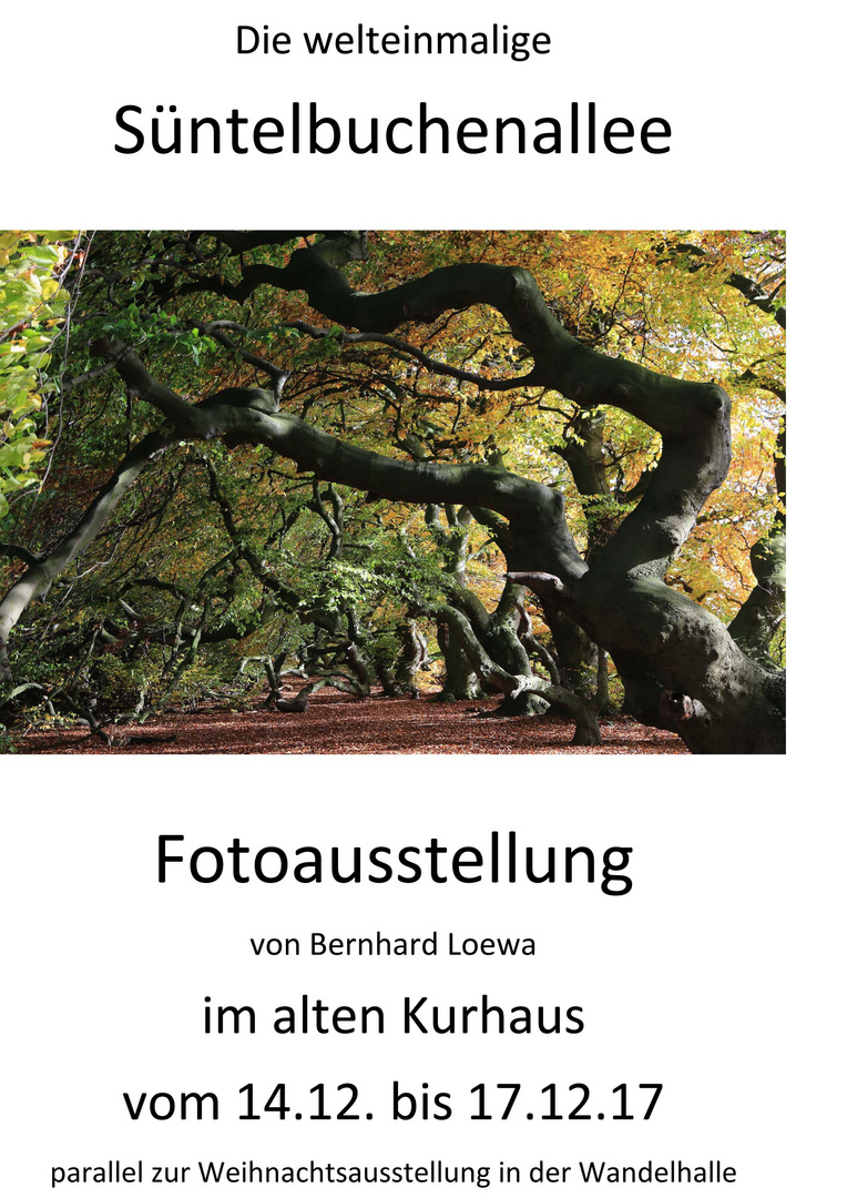 fotoausstellung