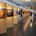 Fotoausstellung an Bord ss. Rotterdam