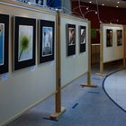 Fotoausstellung Fotofreunde Heidelsheim