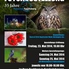 Fotoausstellung in Eggelsberg 2014