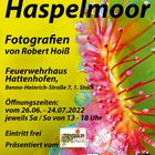 Fotoausstellung "Naturjuwel Haspelmoor"