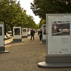 Fotoausstellung zur Leichtathletik WM