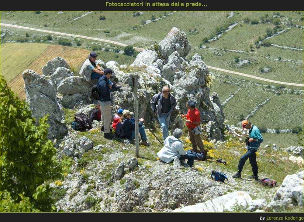 Fotocacciatori in attesa della preda...