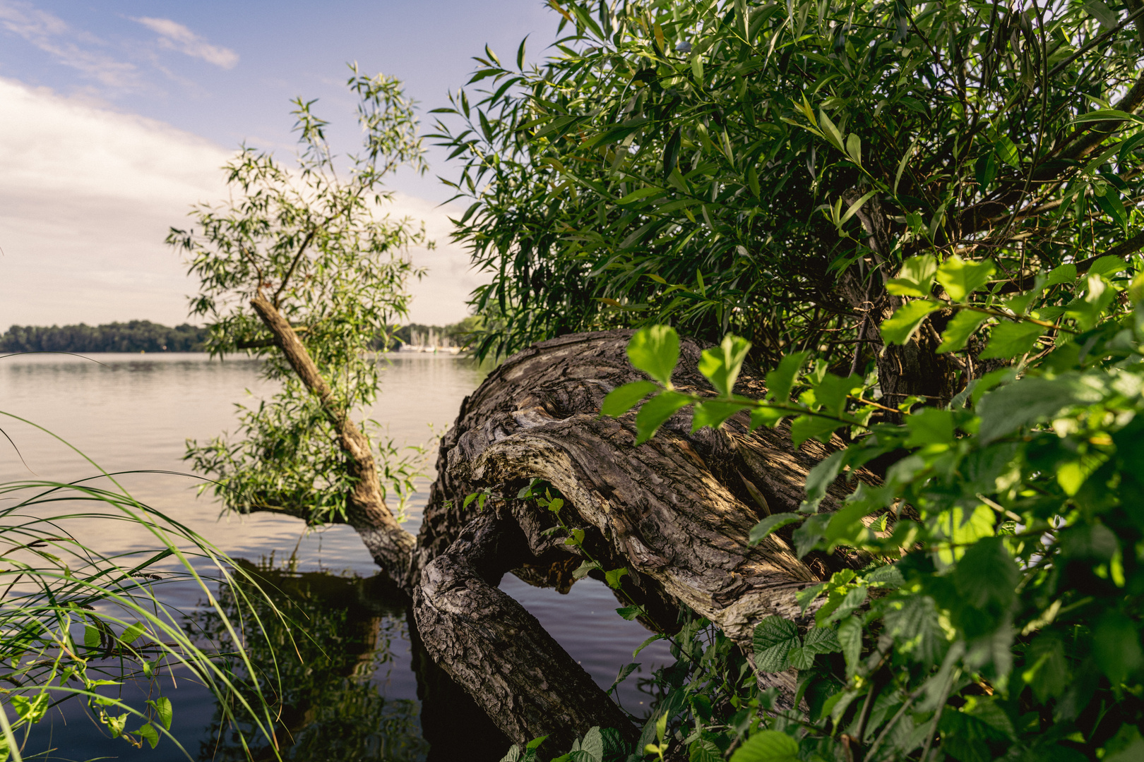 Fotoclub-Walk im Schlosspark Plaue