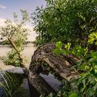 Fotoclub-Walk im Schlosspark Plaue