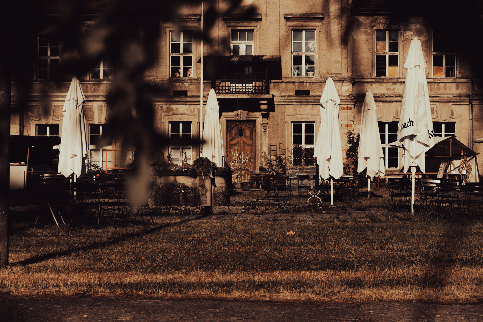 Fotoclub-Walk im Schlosspark Plaue