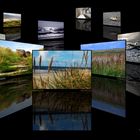 Fotocollage - Natur