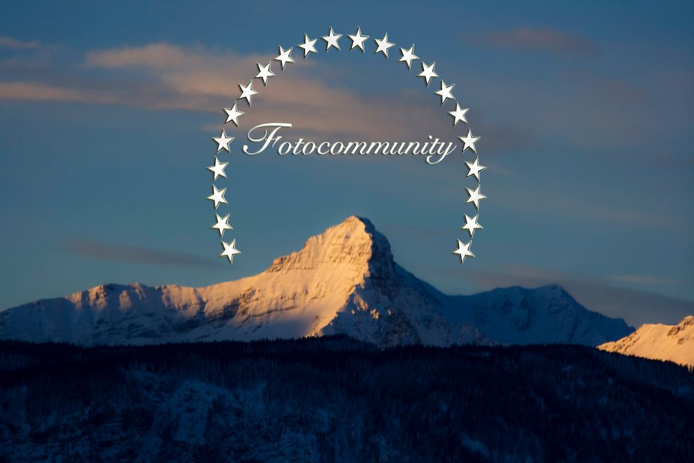 FOTOCOMMUNITY