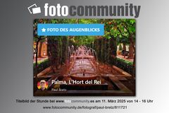 Fotocommunity.es _ Foto der Stunde _ 2025-03-11
