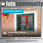 Fotocommunity.es _ Foto der Stunde _ 2025-06-20