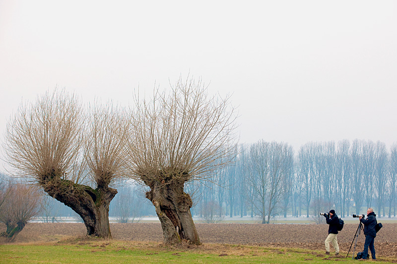 Fotoexkursion Abenteuer Niederrhein - Landschaftliche Highlights