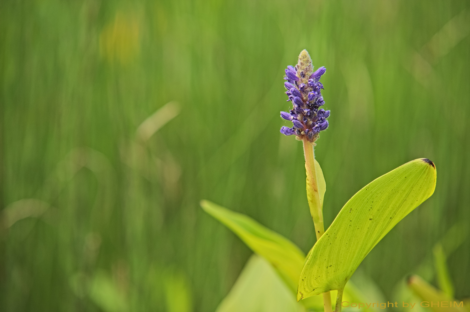 Fotoexkursion Botanischer Garten Krefeld 001