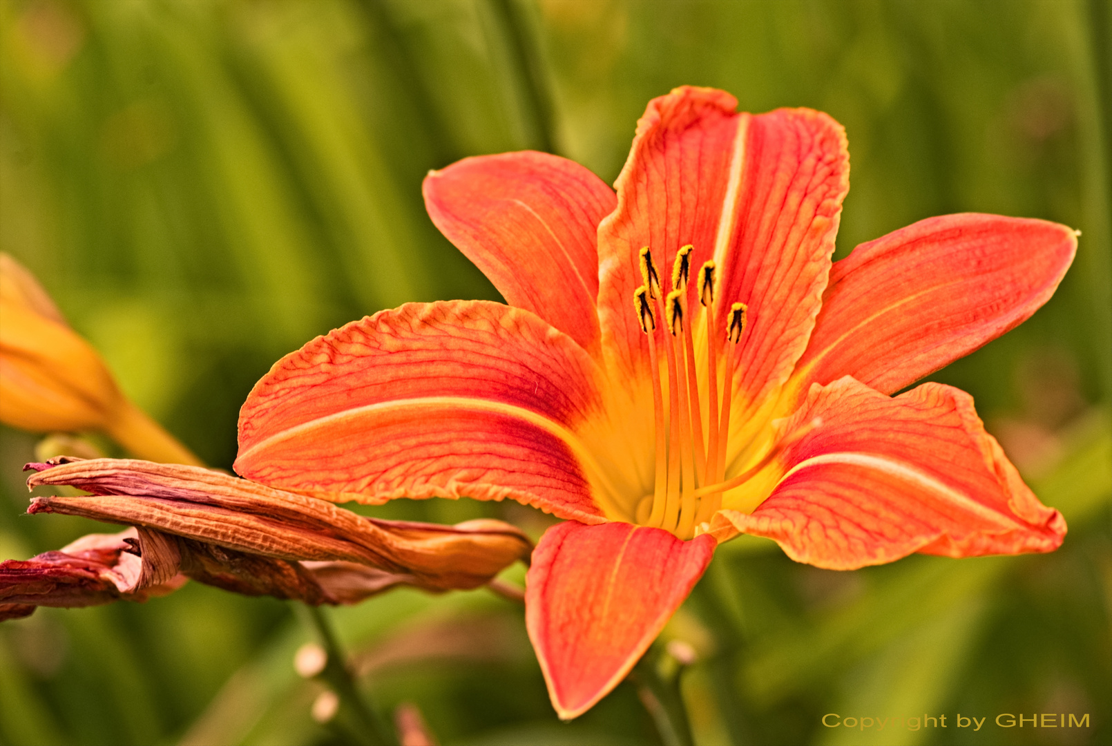 Fotoexkursion Botanischer Garten Krefeld 002 Foto & Bild