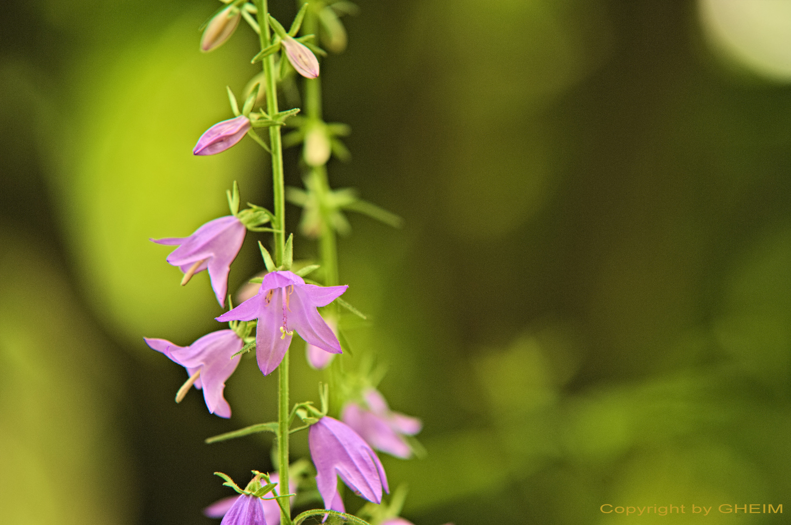 Fotoexkursion Botanischer Garten Krefeld 005