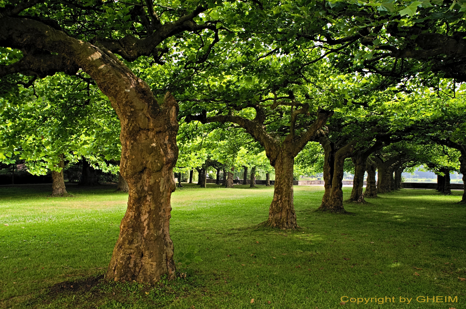 Fotoexkursion Botanischer Garten Krefeld