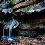 Fotoexkursion Margarethenschlucht - Fototour u. Fotoworkshop Odenwald