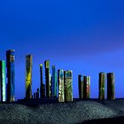 Fotoexpedition Abenteuer Ruhrgebiet - Landmarke Halde Haniel - Totems - Bottrop