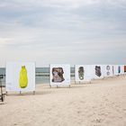 Fotofestival Zingst