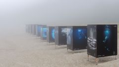 Fotofestival Zingst 2013 Pict.1