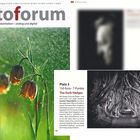 fotoforum 3/2011