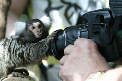 fotogen!!!!